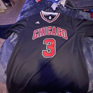 Dwayne Wade Chicago Bulls Jersey 2016-17 adidas authentic